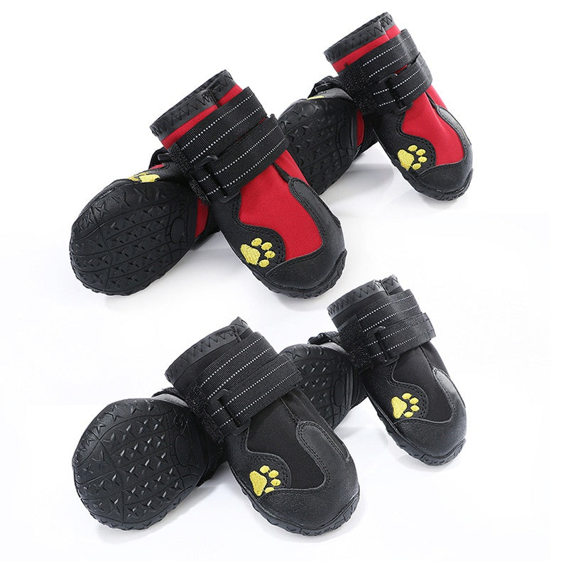Dog wearing waterproof boots in wet conditions