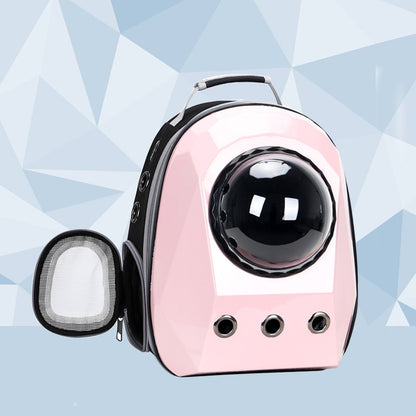 Cat inside bubble window backpack carrier – calm and visible during transport